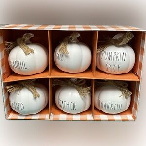 Rae Dunn Fall Pumpkin Decor